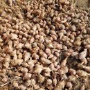 문성약국 이미지