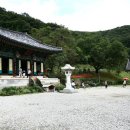 용천사입구 이미지