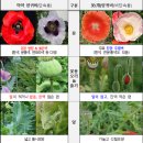 제주시보건소 이미지