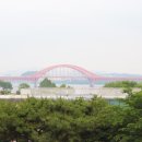 135 | 70가지 케이크에 눈 돌아간 행주산성대형카페 대대리 135 솔직후기