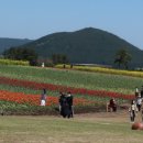 모태영농조합법인 이미지