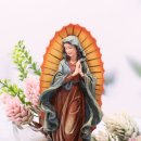 벨라비스타 이미지