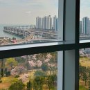 센텀스위트호텔 | 부산 센텀시티 가성비 호텔 트레블로지 스위트 부산 센텀 호텔 1박 후기