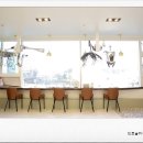 헤어제니스 이미지