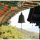 삼운사유치원 이미지