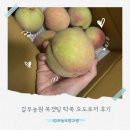 복 - 계양구 | 물복파도 반한 갈우농원 딱복 오도로끼 복겟팅 후기