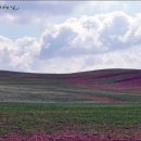 동화목장 이미지