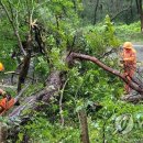 영광 창녕조씨관해공가옥 이미지