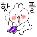 옹식구 이미지
