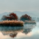 morning soft 이미지