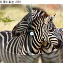 아이로움옵티크(EYELOAM OPTIQUE) 이미지