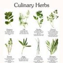 공릉종합사회복지관 이미지