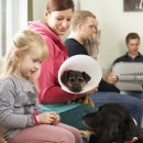 대한동물병원 이미지