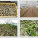 월암농장 이미지