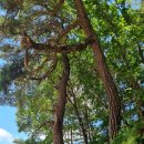 공작산마을 이미지