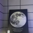 이케아 강동 쇼핑후기 소품 추천