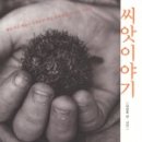 씨앗이야기