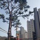 캐슬푸르지오공인중개사사무소 이미지