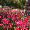 하늘빛정원 이미지