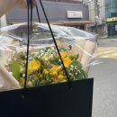 플로미아 이미지