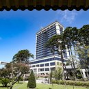 만성축산 이미지