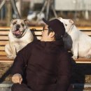 펫토그래퍼 이미지