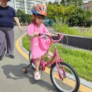 김해시 자전거교육장 이미지