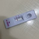 북구보건소선별진료소 | 가족 코로나 확진 : pcr 검사, 수동감시 / 광주광역시 북구보건소 선별진료소 검사 후기