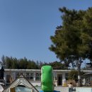 강주학교캠프 이미지