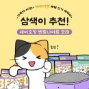 벤토나이트 고양이 모래 추천 먼지 적은 고양이 모래 사용 후기