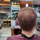 허브지노 이미지