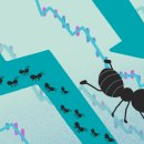 정다운 상회 이미지