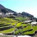 가천다랭이마을 이미지