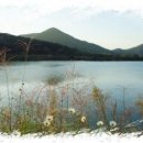 산책길-1 이미지