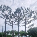 다산문구 | 남양주 다산생태공원 후기｜정약용 유적지와 함께 걷기 좋은 힐링 산책 코스