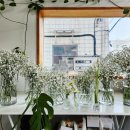 백일노모당 | 셀프백일상차림(w/통영 꽃집애)