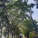 은하수커피숍 이미지