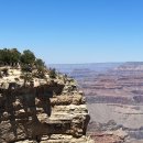 (주)뉴그랜드 관광 | 라스베가스 그랜드캐년 6대 명소 1박2일 투어 내돈내산 후기