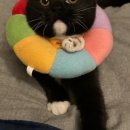 DS동물병원 이미지