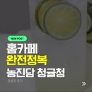 농진담 | 농진담 청귤청으로 홈카페 즐기기, 1kg 카페청 솔직 후기