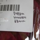 키플링인케이스 | 키플링 백팩 서울 노트북백팩 후기 :)