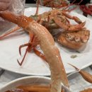 대구 앞산 홍게 가성비 맛집 싱싱붉은대게무한리필