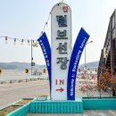 털보애견 이미지