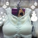 란제리코너 이미지