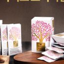 엔케이(NK)팜 이미지