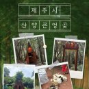 산양마을운영위원회 | [제주여행] 산양큰엉곶ㅣ제주 힐링이색공간, 동화같은 숲 속 여행지(+토끼 마을), 제주 서쪽 가볼만한...