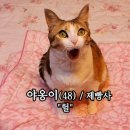 청평빌라 이미지