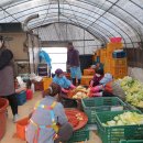 효경농장 이미지