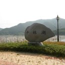 장성 평림댐 수변공원 장미원 (2010.05.30) 이미지