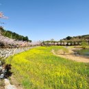 하늘바다 이미지